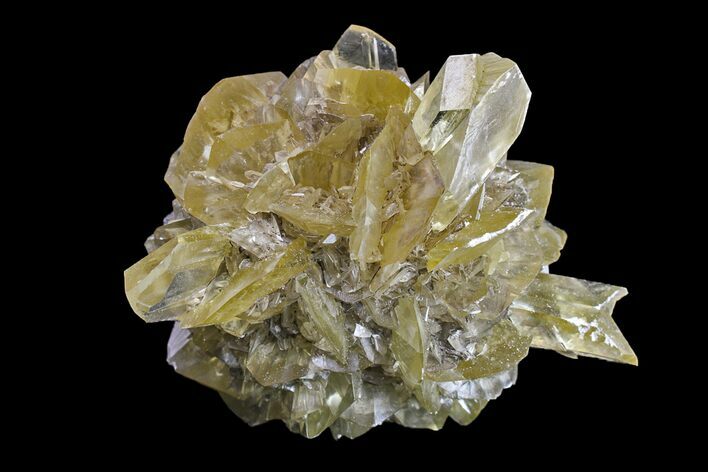 Twinned Selenite Crystals (Fluorescent) - Red River Floodway #154404